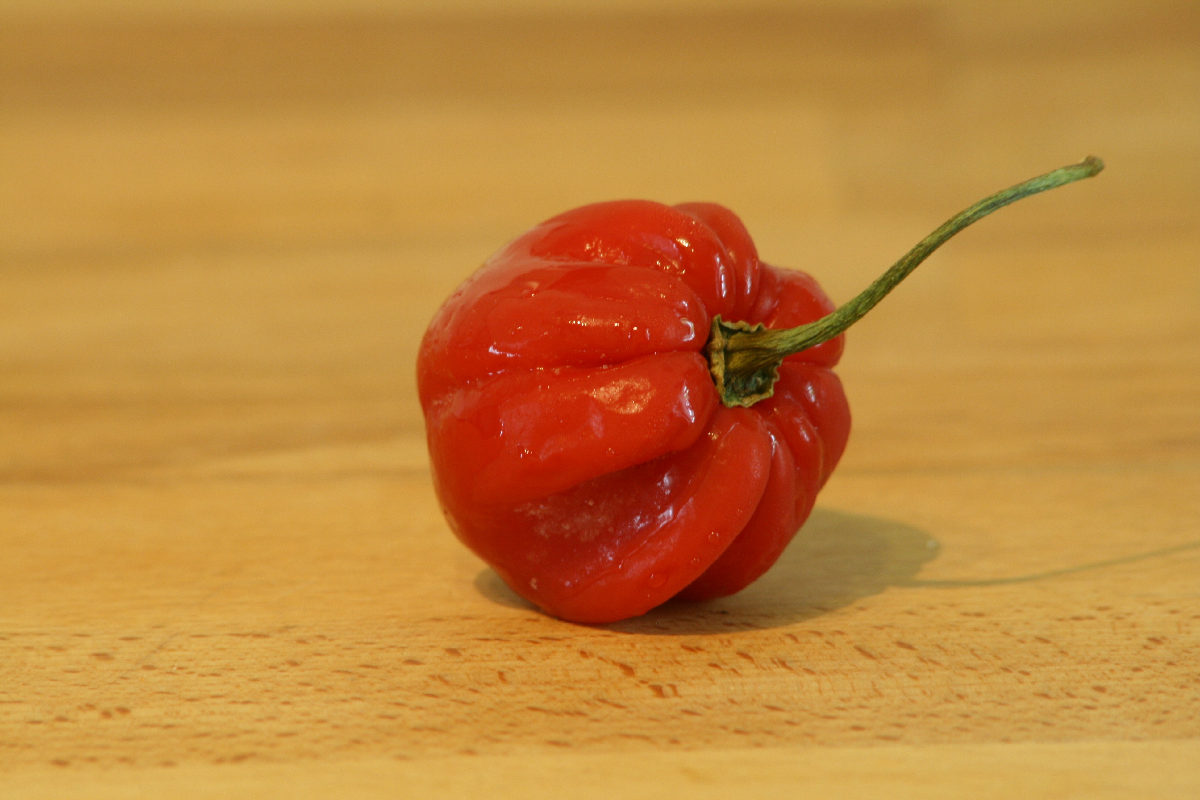 Habanero na doske